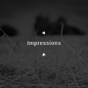 Impressions