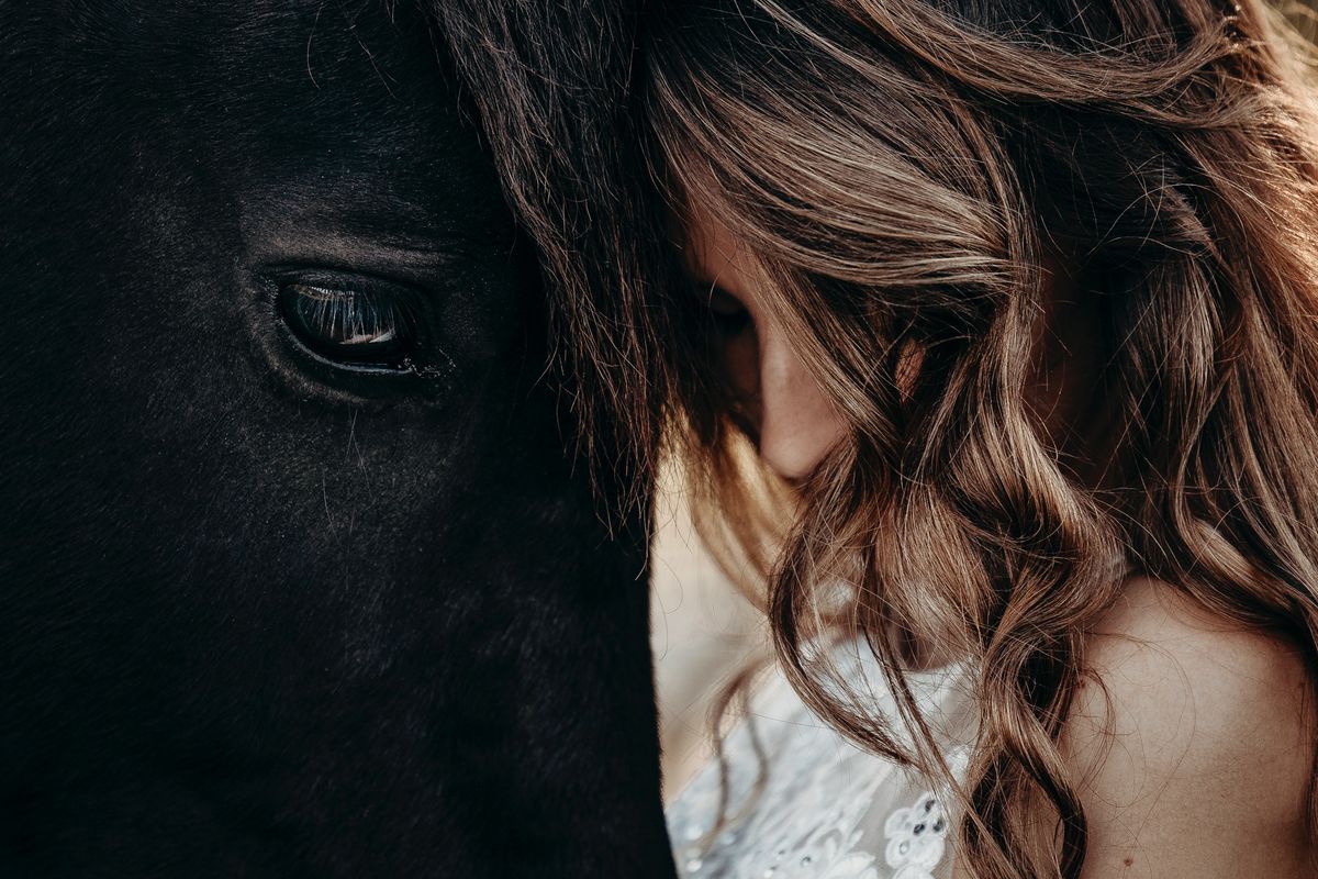 Pferdefotografie von Jenny Marx – Bild 3