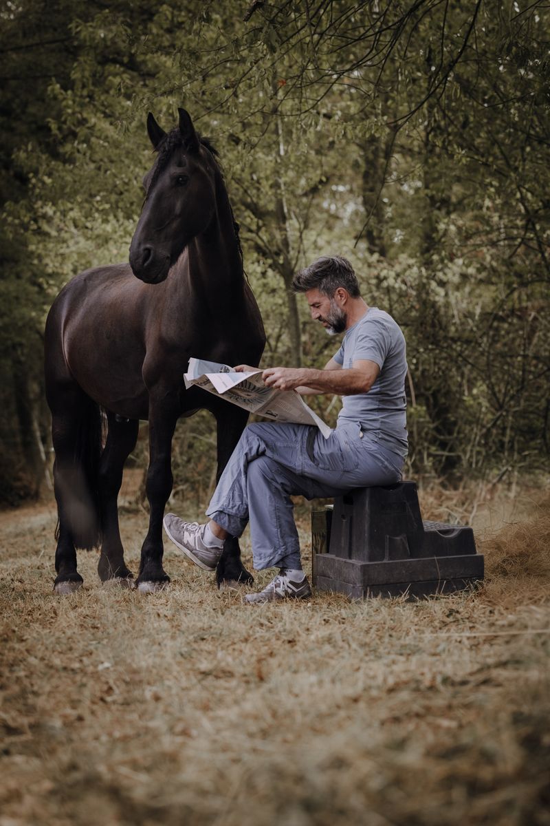 Pferdefotografie von Jenny Marx – Bild 19