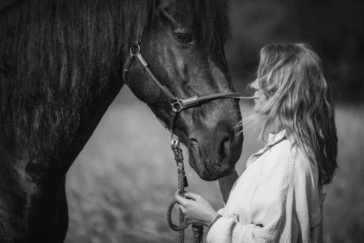 Pferdefotografie von Jenny Marx – Bild 25
