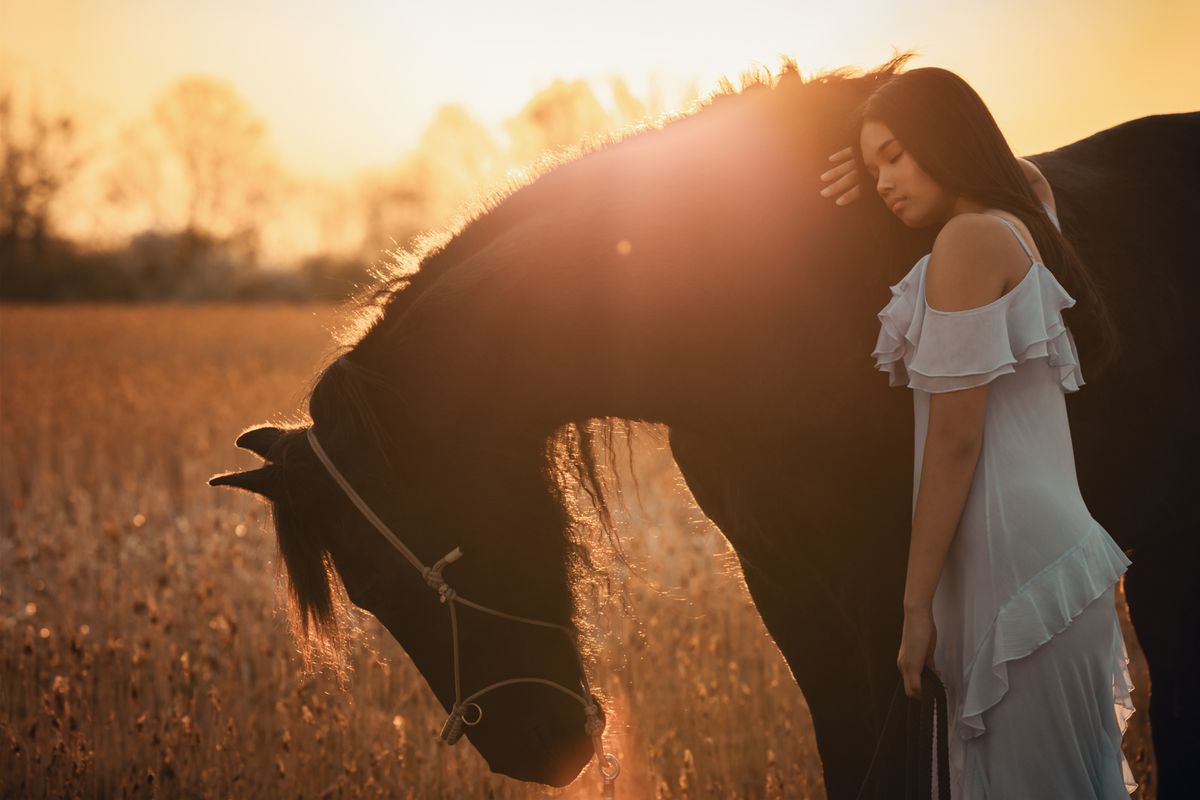 Pferdefotografie von Jenny Marx – Bild 42