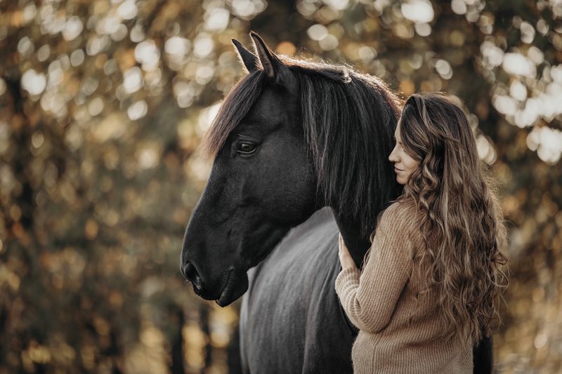 Pferdefotografie von Jenny Marx – Bild 22