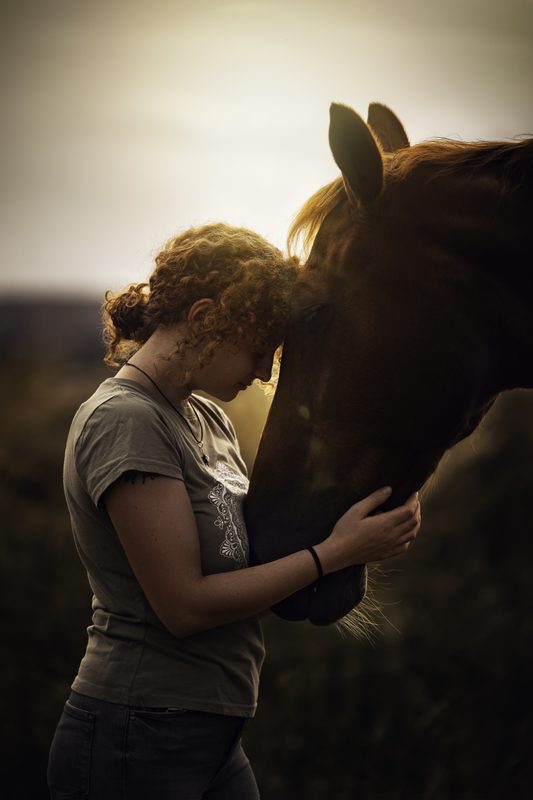 Pferdefotografie von Jenny Marx – Bild 26