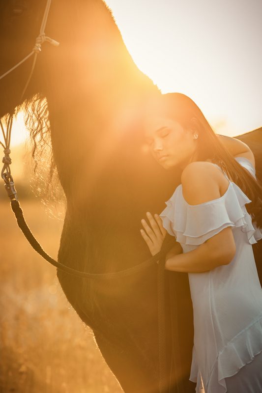 Pferdefotografie von Jenny Marx – Bild 34