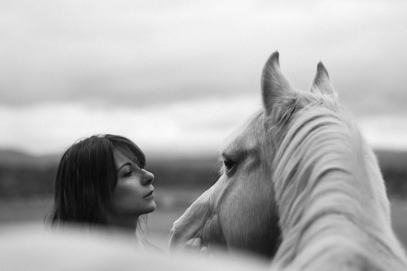 Pferdefotografie von Jenny Marx – Bild 44
