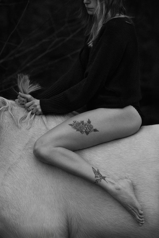 Pferdefotografie von Jenny Marx – Bild 45
